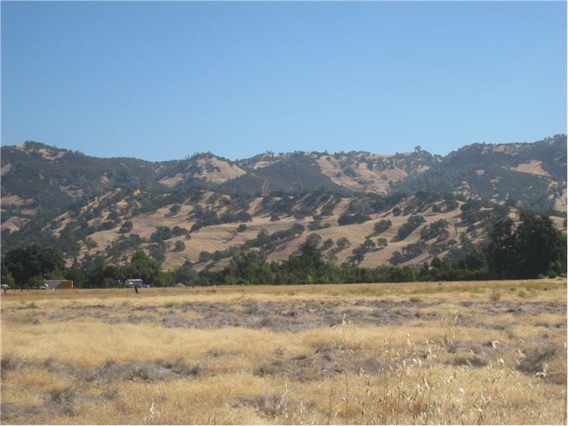 Land view