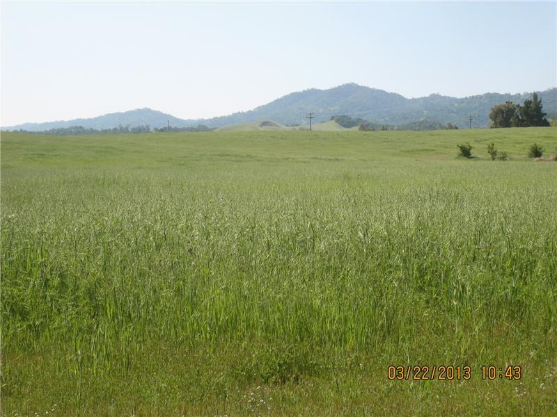 land