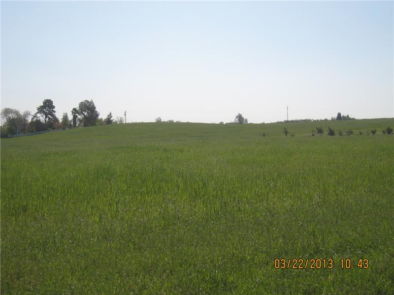 land