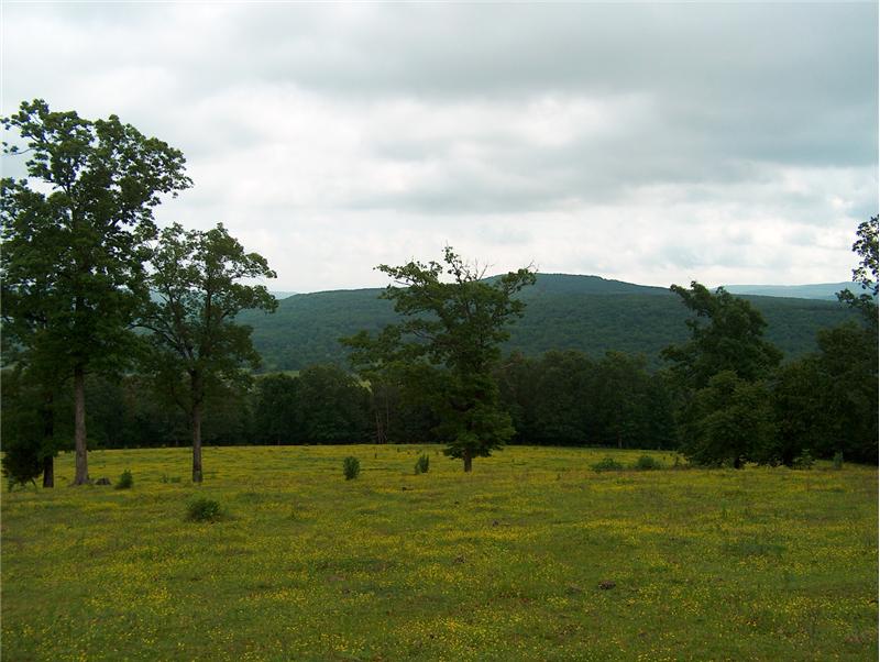 90 acres of cleared pasture land