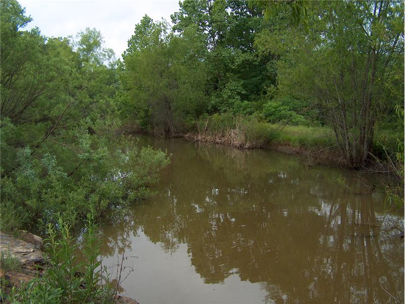 fronts Cove and Lee Creeks