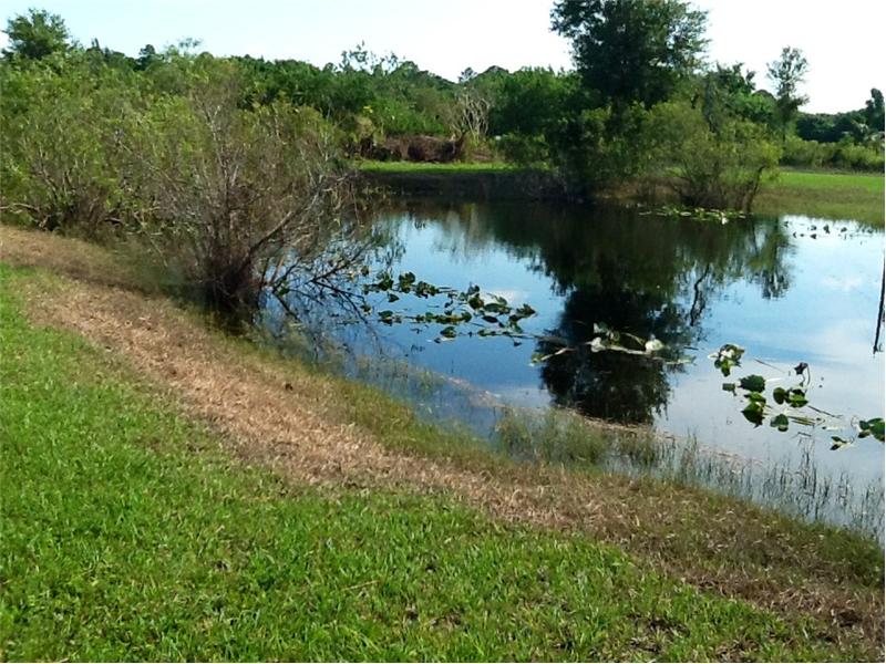 Pond