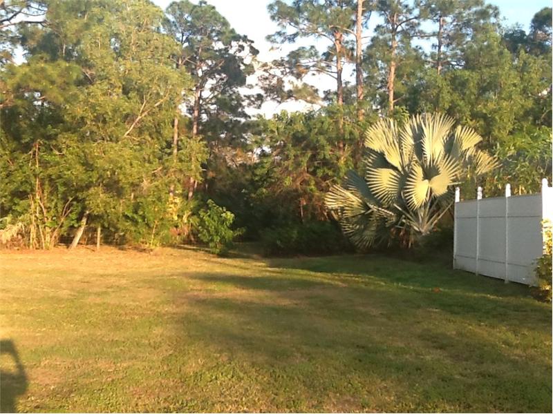 Yard/Garden