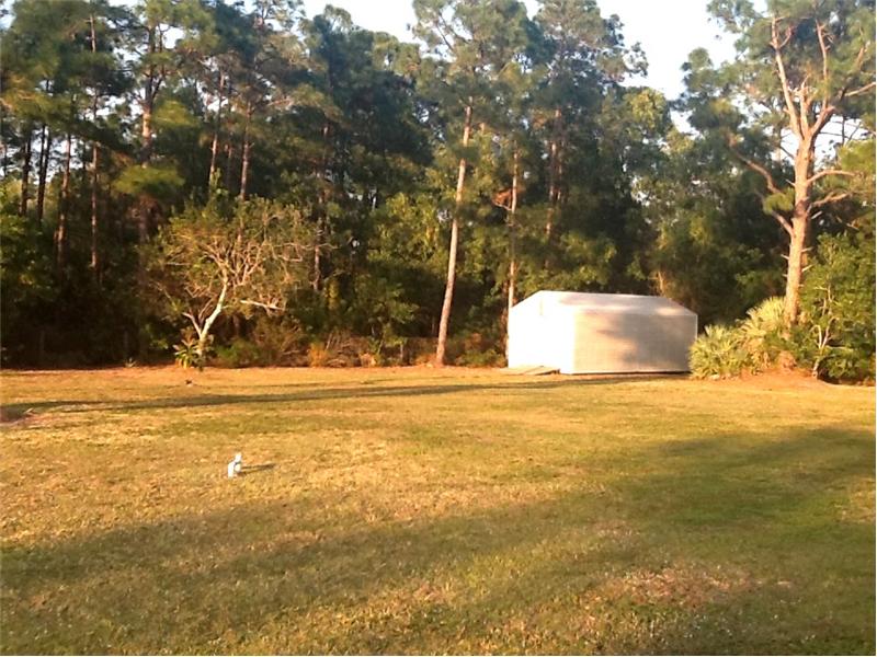 Yard/Garden