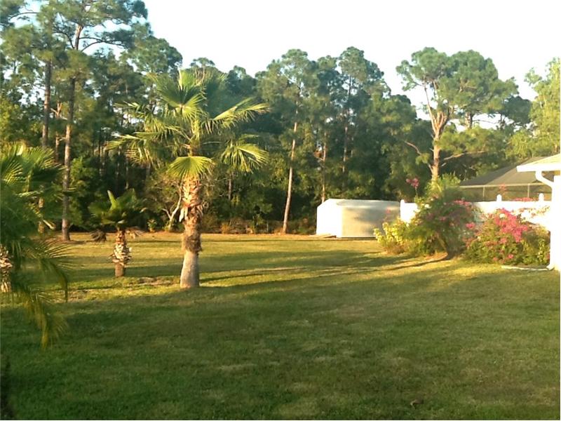 Side Of The House