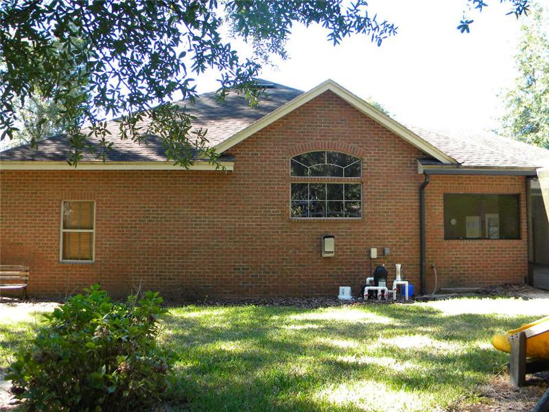 Back View