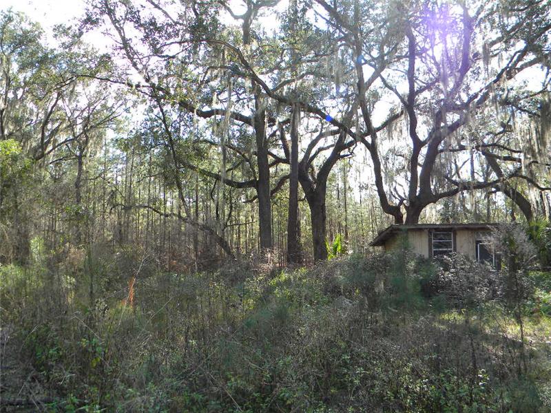 Existing Out Building