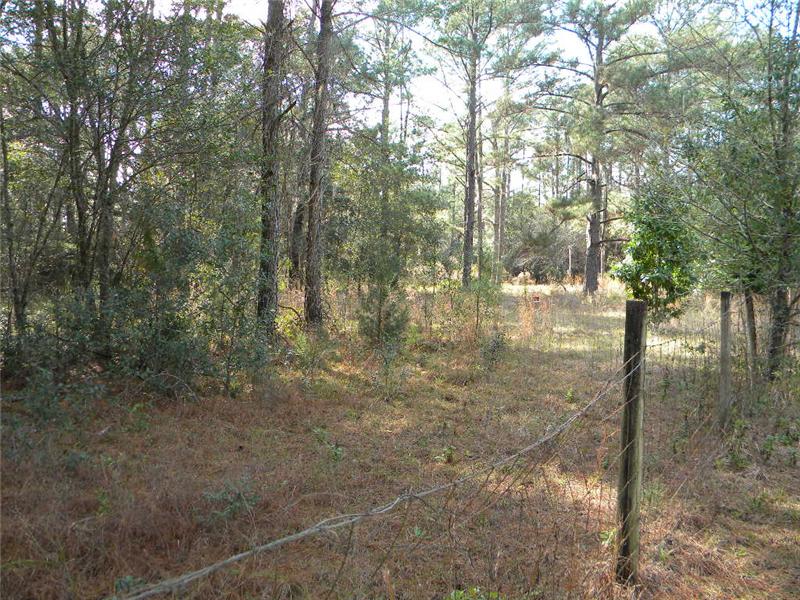 Old Driveway