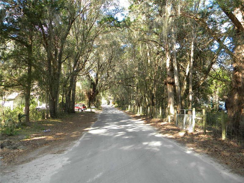 Oak Canopy Streets