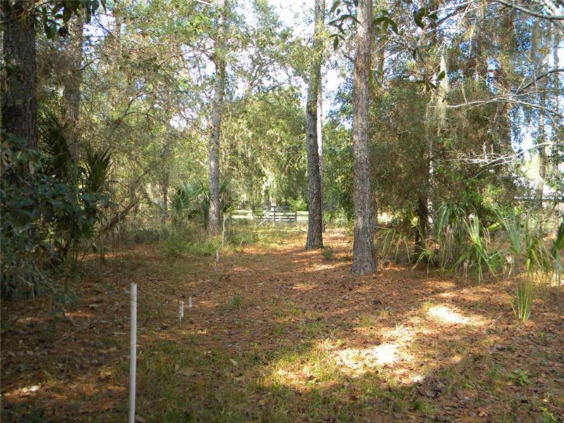 Front Fence