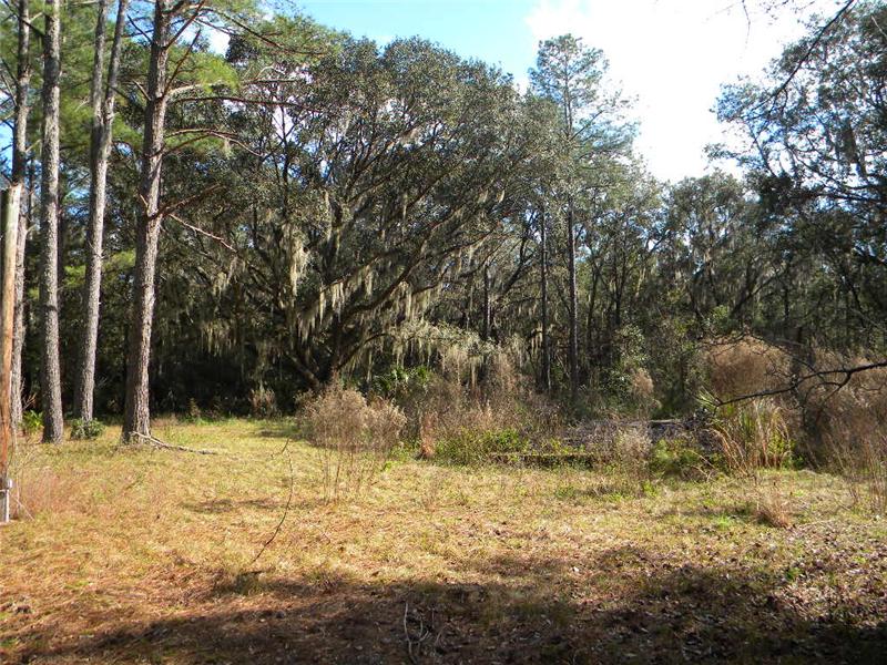 Old Home Foundation