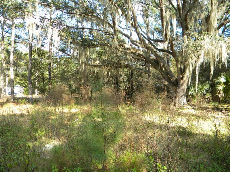 Build Your Dream Here in Micanopy