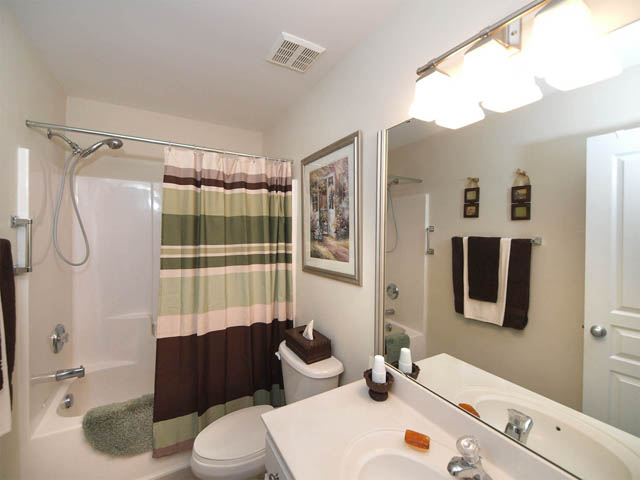 Hall bathroom