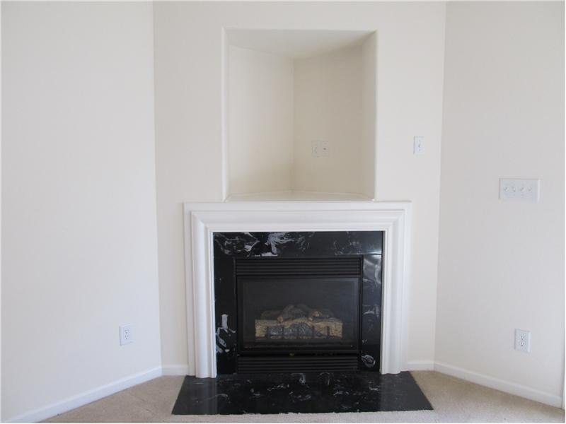 Gas log fireplace with TV or decorative niche