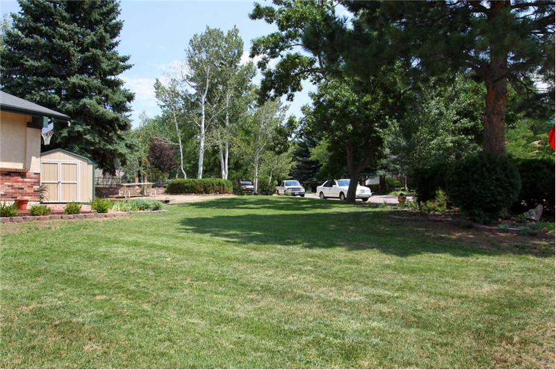 What a nice front yard!