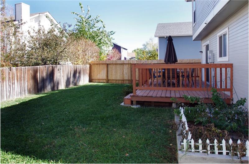 View of backyard