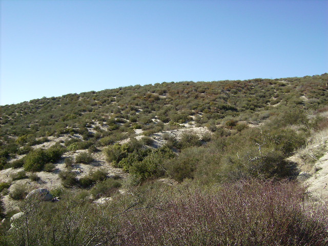 Topography in the Area