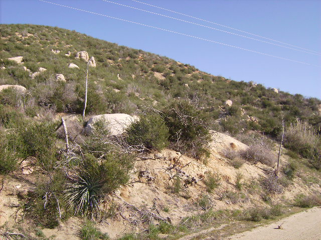 Looking East Toward the Lot