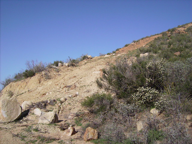 Standing On Lot Looking West