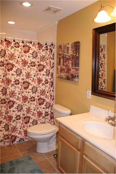 Terrace level full bath