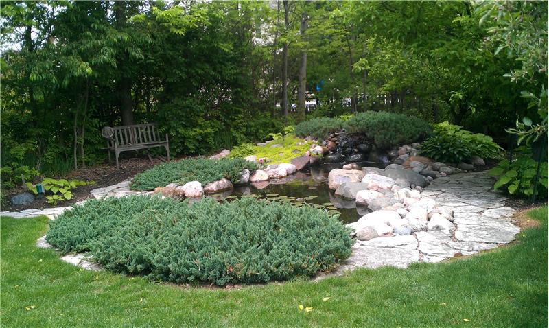 Your own pond.