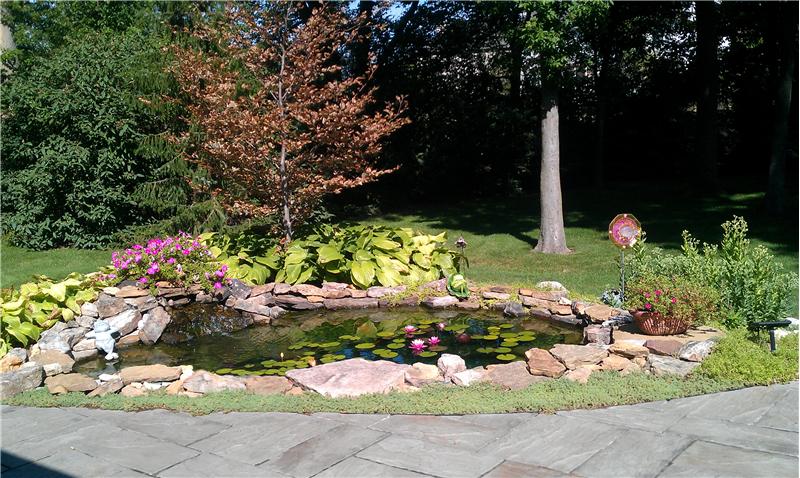 Lush vegitation surrounding the pond.
