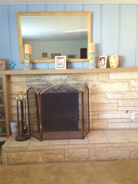 Fireplace with wood siding on walls