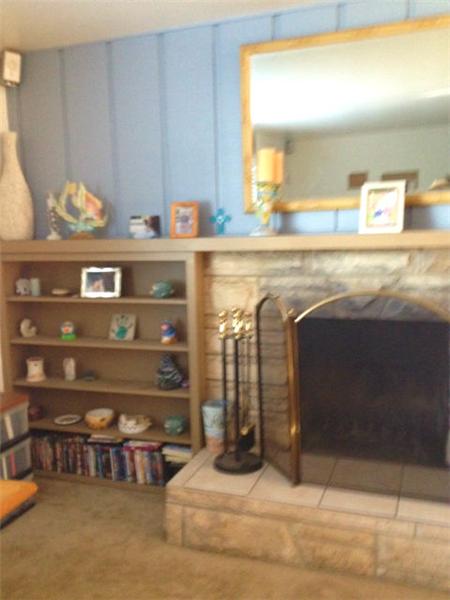 Shelving at side of fireplace