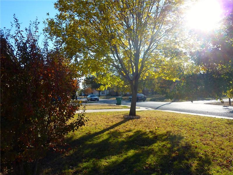 The yard is the perfect size!