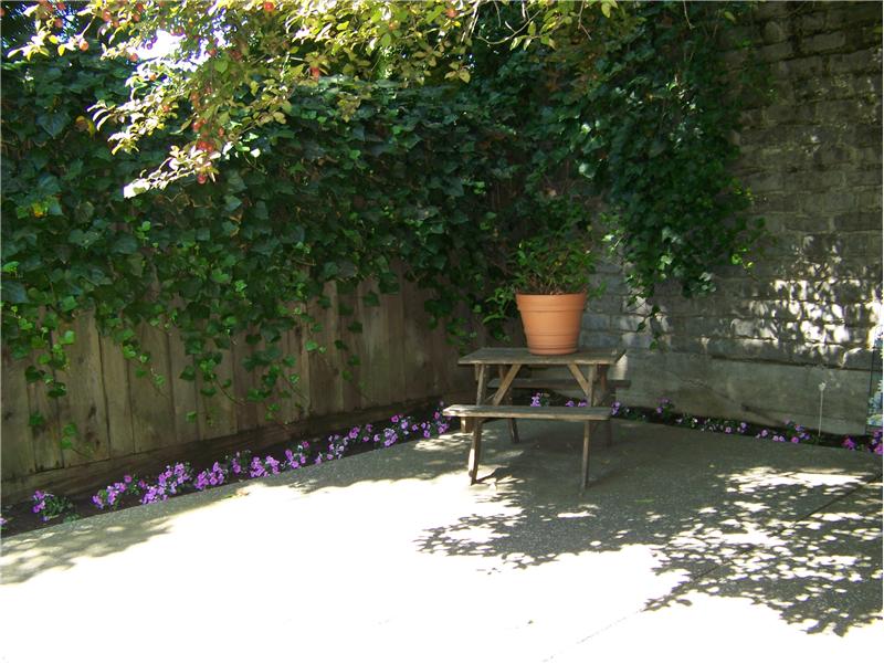 Rear Patio