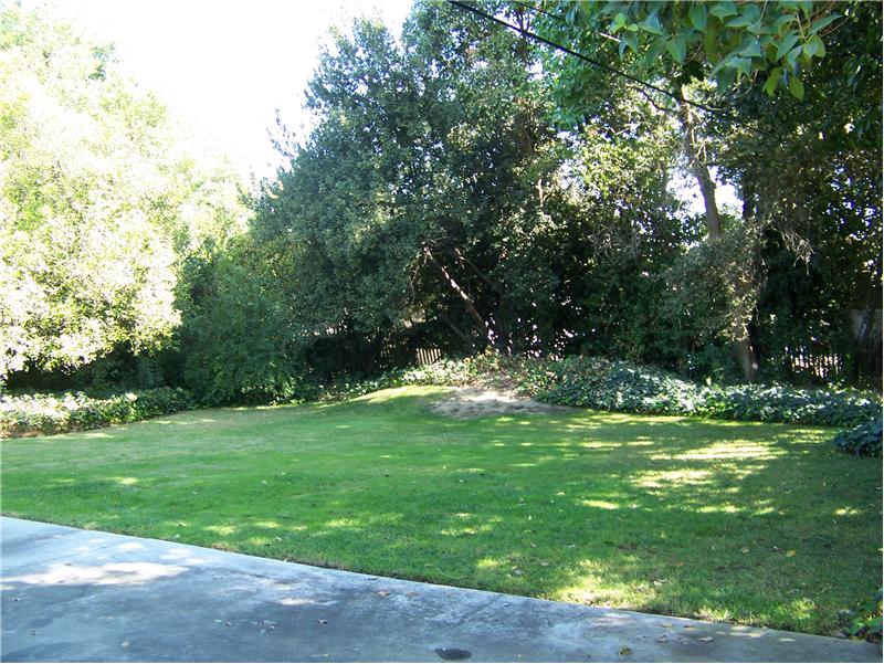 Expansive backyard