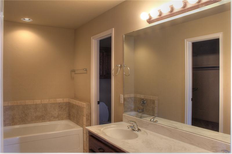 812 Raintree Mansion Master Bath/Spa
