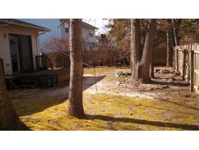 Lovely Backyard