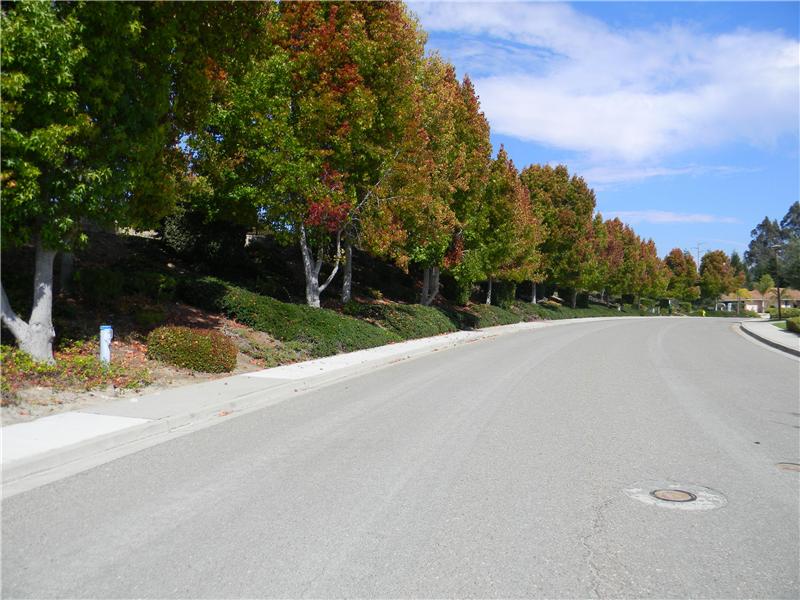 Looking Down the Street