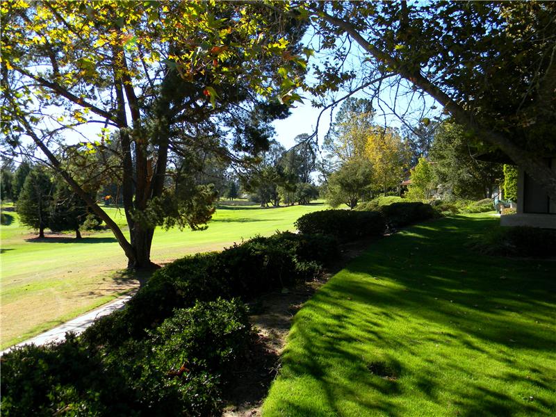 Beautiful views of the golf course