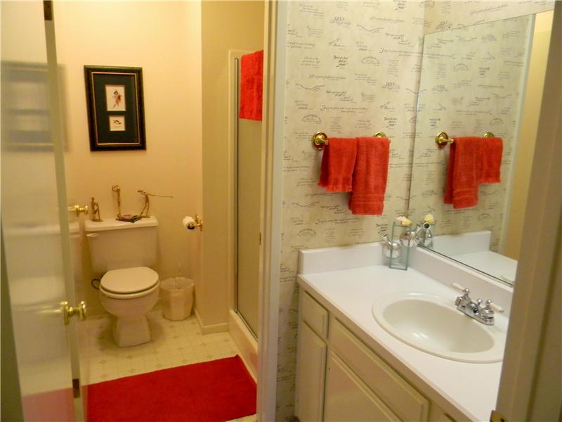 Guest bathroom