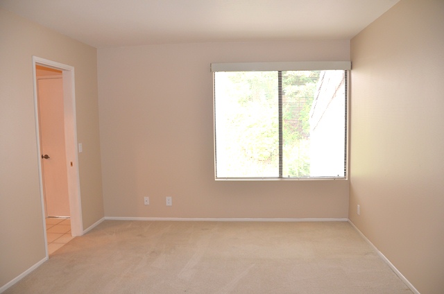 spacious master bedroom