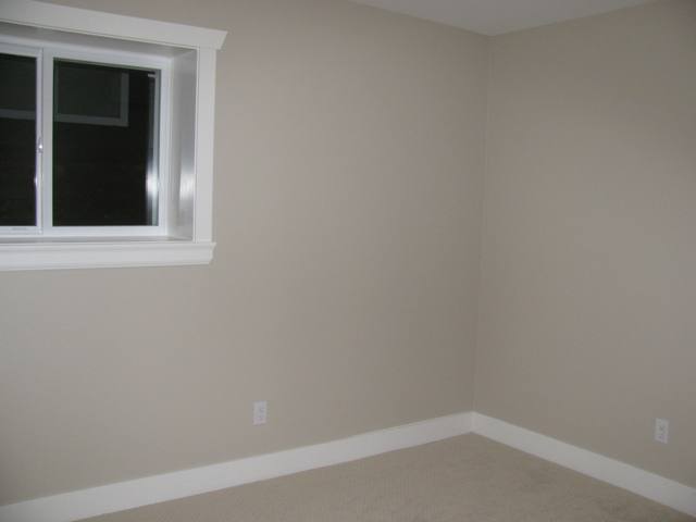 Basement 2nd Bedroom
