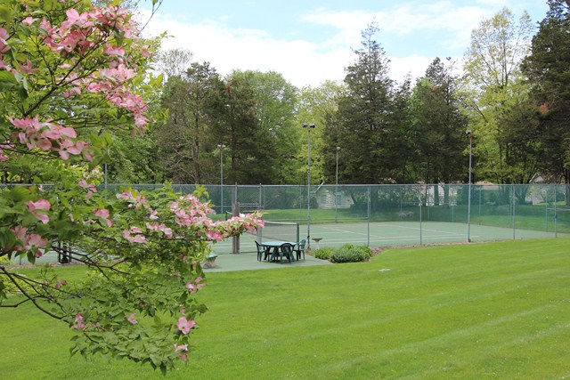 Community Tennis Court CT