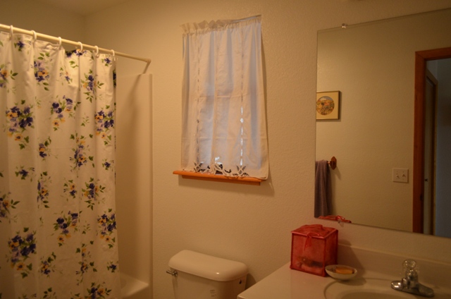 Main Floor Bath with Tub/Shower Combo